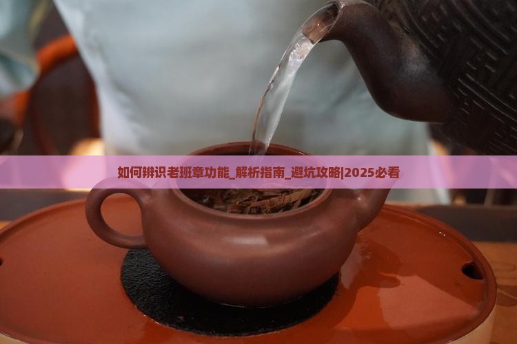 如何辨识老班章功能