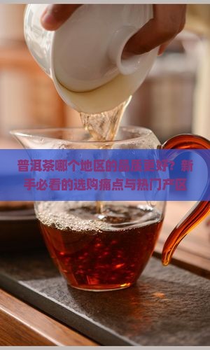 普洱茶哪个地区的