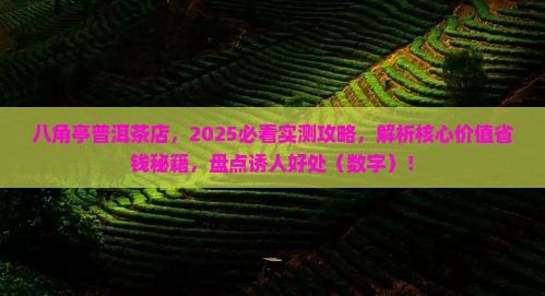 八角亭普洱茶官方店