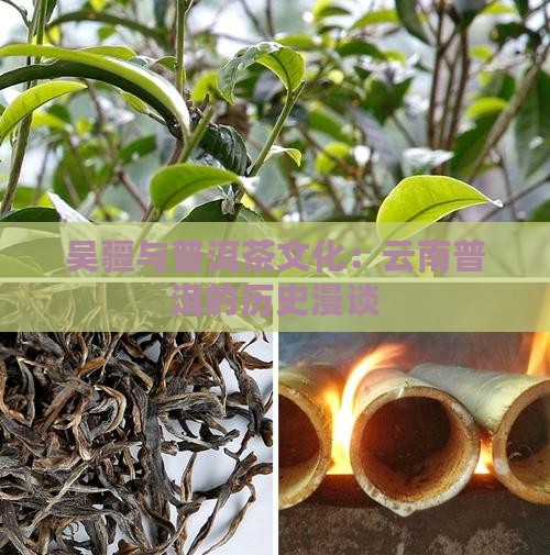 吴疆普洱茶历史漫谈