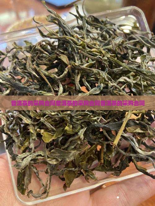 普洱茶的采购合同 普洱茶的采购合同