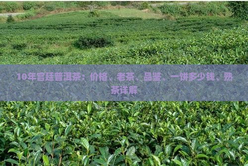 10年宫廷普洱茶