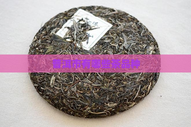 普洱市有哪些茶品种