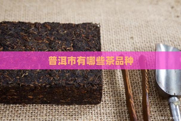普洱市有哪些茶品种