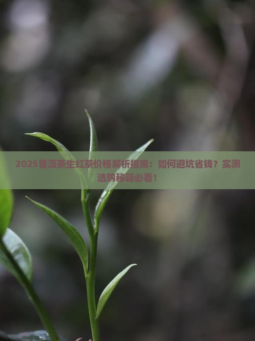 普洱茶生红茶的价格