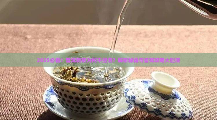 普洱茶新茶不耐泡