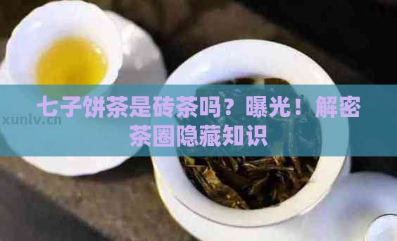 七子饼茶是砖茶吗