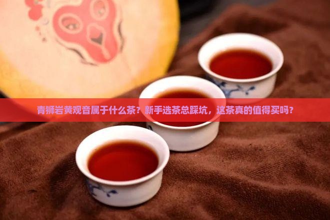 青狮岩黄观音属于什么茶