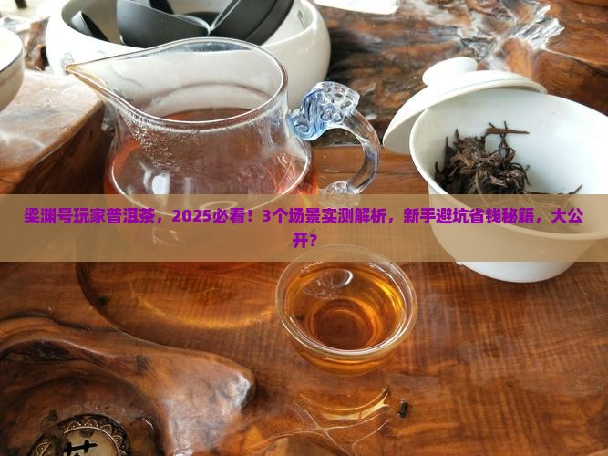 梁渊号玩家普洱茶