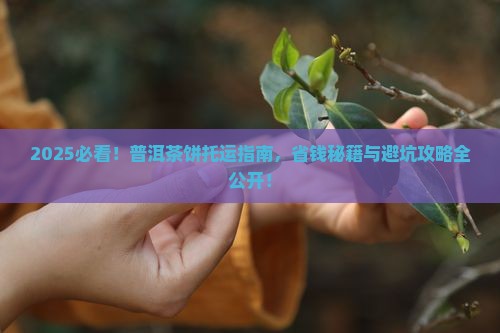普洱茶饼可以托运吗