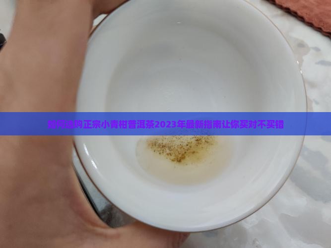 如何选购正宗小青柑普洱茶