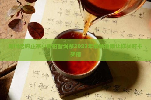 如何选购正宗小青柑普洱茶