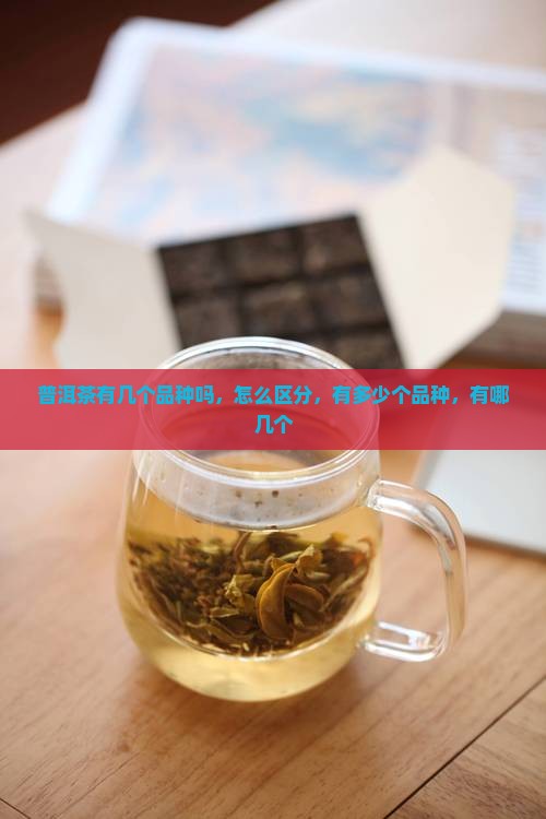 普洱茶有几个品种吗