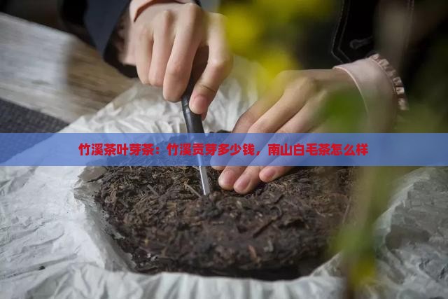 竹溪贡芽茶叶多少钱南山白毛茶