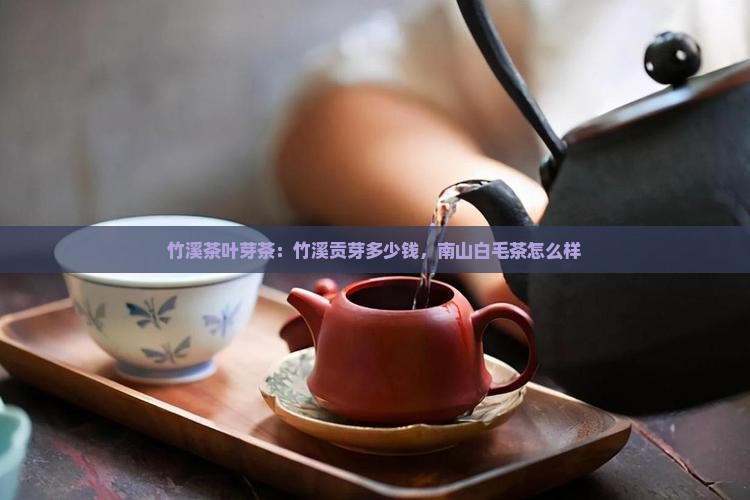 竹溪贡芽茶叶多少钱南山白毛茶