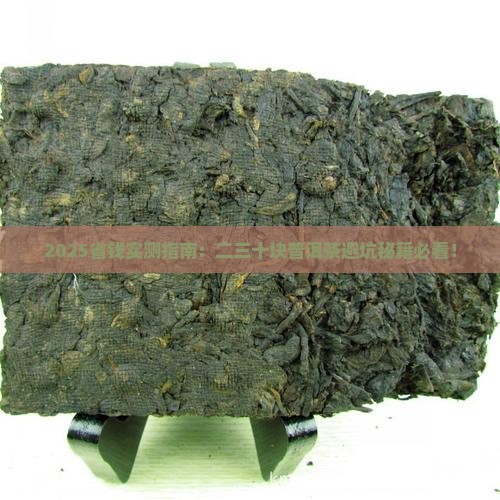 二三十块的普洱茶推荐
