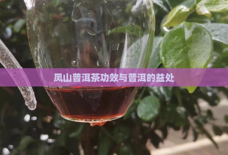 鸣凤山普洱茶功效