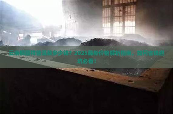 云南桐颐祥普洱茶多少钱