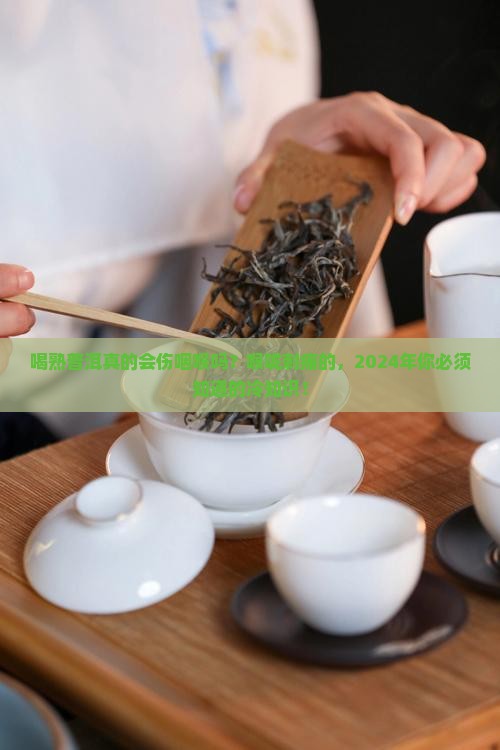 熟普洱喝多了对咽喉的副作用