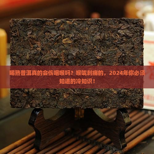 熟普洱喝多了对咽喉的副作用