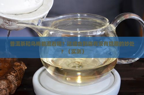 普洱茶和乌梅可以一起用吗