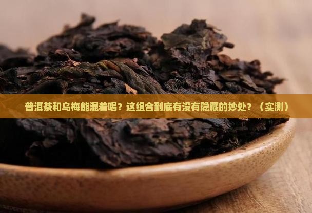 普洱茶和乌梅可以一起用吗