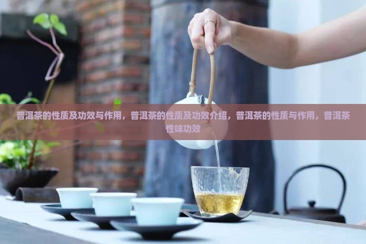 普洱茶的性质及功效