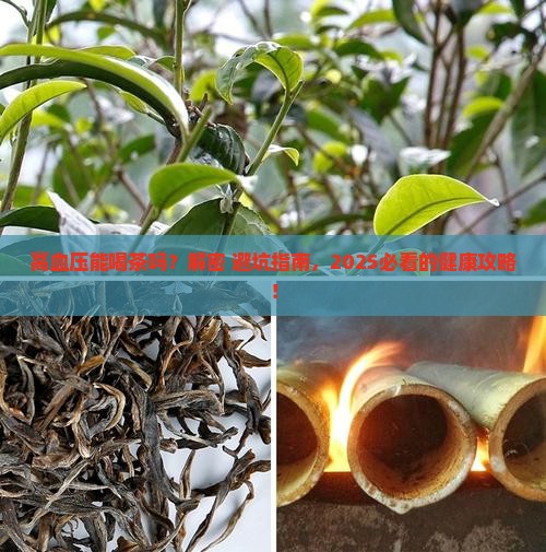 请问高血压能喝茶吗
