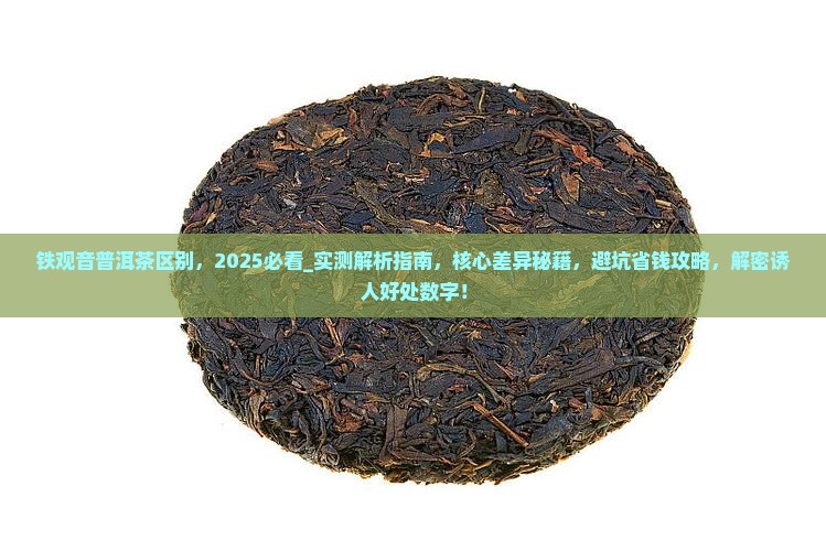 铁观音普洱茶区别