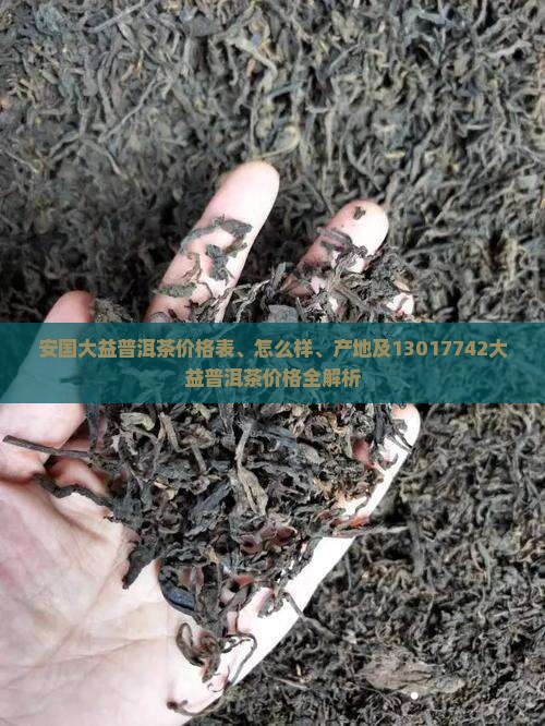 安国大益普洱茶