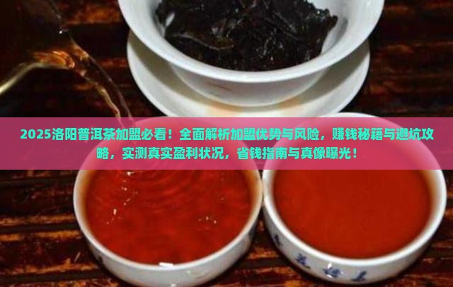 洛阳普洱茶加盟怎么样的