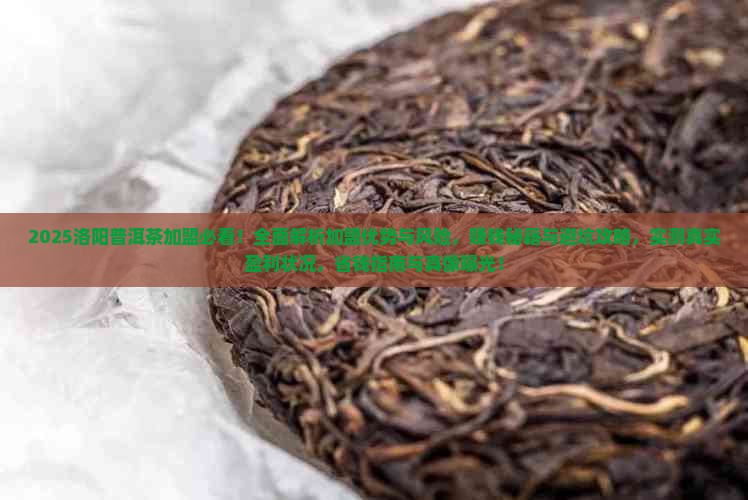 洛阳普洱茶加盟怎么样的