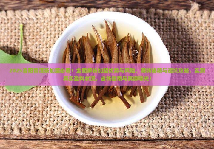 洛阳普洱茶加盟怎么样的