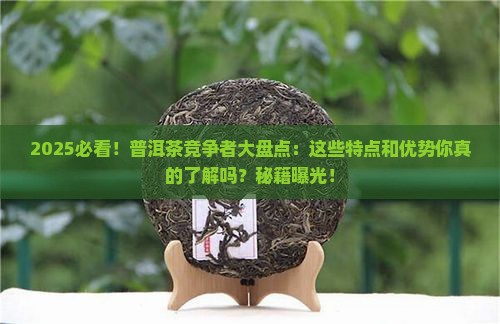 普洱茶的竞争者特点和优势