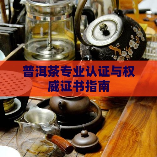 普洱茶专业认证与权威证书指南