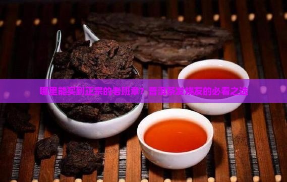 哪里能买到正宗的老班章？普洱茶发烧友的必看之选