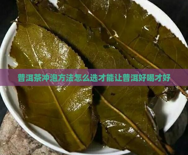 普洱茶冲泡方法怎么选才能让普洱好喝才好