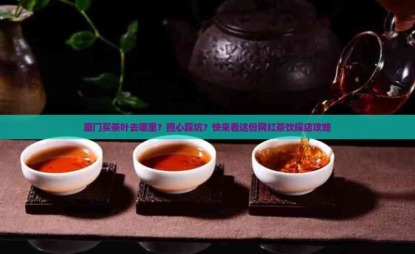 厦门买茶叶去哪里？担心踩坑？快来看这份网红茶饮探店攻略