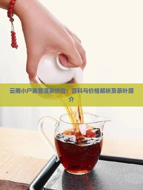 云南小户赛普洱茶供应：百科与价格解析及茶叶简介