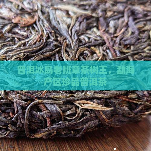 普洱冰岛老班章茶树王，勐海产区珍品普洱茶