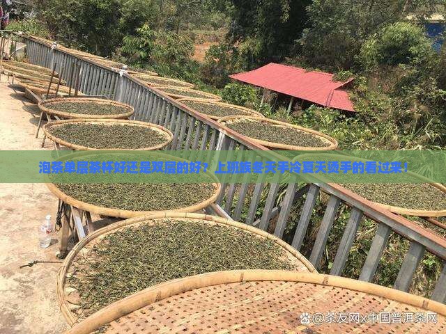 泡茶单层茶杯好还是双层的好？上班族冬天手冷夏天烫手的看过来！