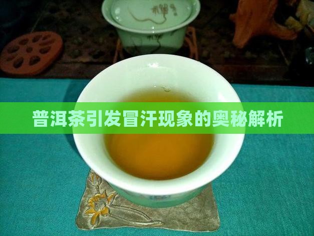 普洱茶引发冒汗现象的奥秘解析
