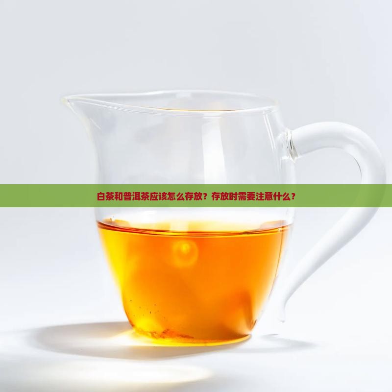 白茶和普洱茶应该怎么存放？存放时需要注意什么？