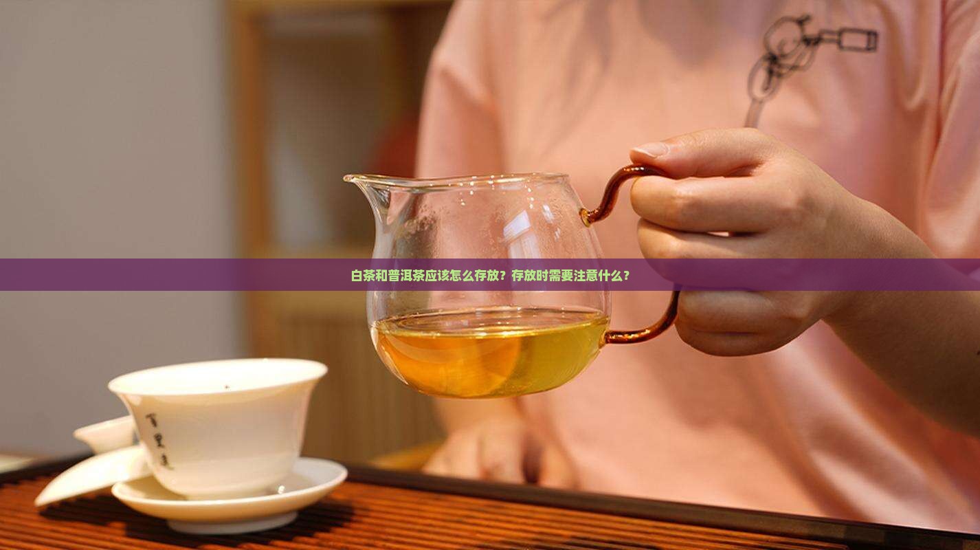 白茶和普洱茶应该怎么存放？存放时需要注意什么？