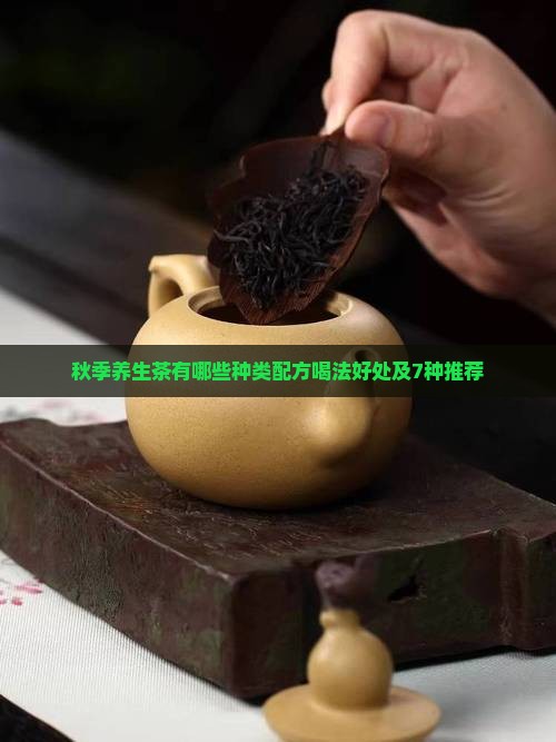 秋季养生茶有哪些种类配方喝法好处及7种推荐