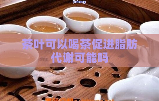 茶叶可以喝茶促进脂肪代谢可能吗