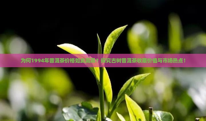 为何1994年普洱茶价格如此高昂？探究古树普洱茶收藏价值与市场热点！