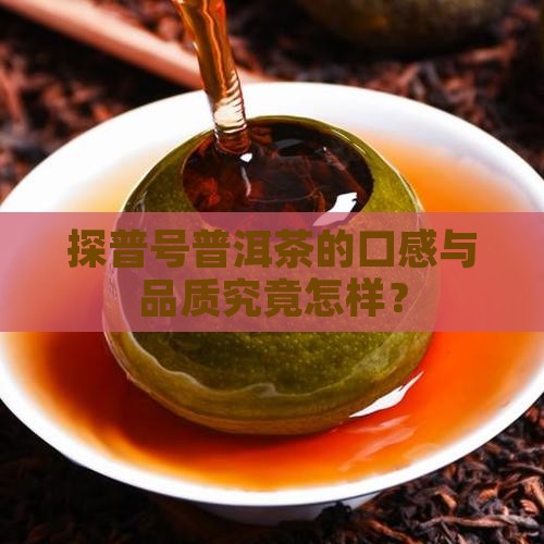 探普号普洱茶的口感与品质究竟怎样？