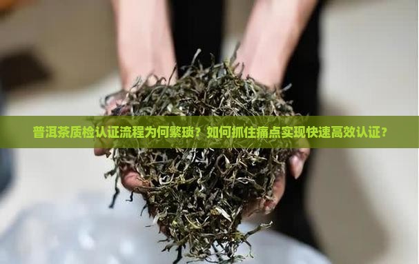 普洱茶质检认证流程为何繁琐？如何抓住痛点实现快速高效认证？