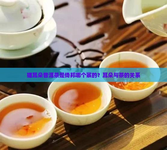 猫耳朵普洱茶是倚邦哪个寨的？耳朵与茶的关系